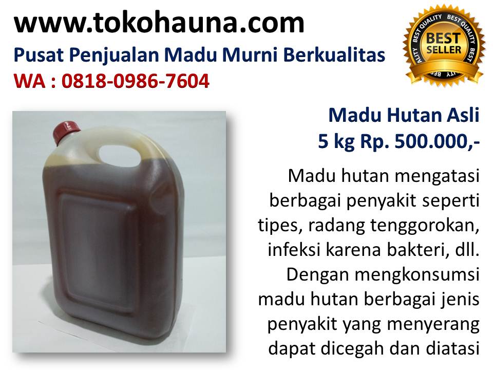 Grosir madu hutan curah, toko madu murni di Bandung & Karawang wa : 081809867604  Khasiat-madu-odeng-hutan